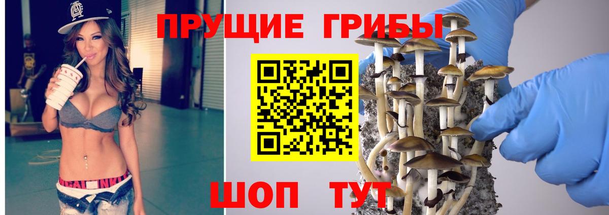Россошь  Псилоцибиновые грибы Cubensis  Вход с VPN 
